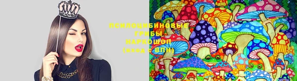 mdpv Абаза