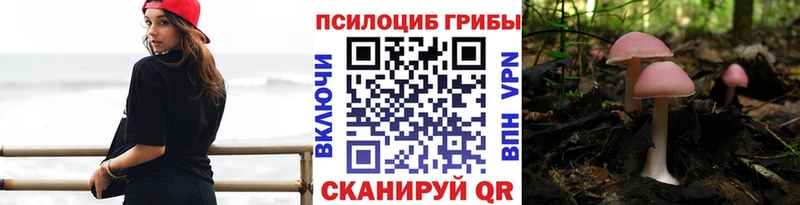 закладки  Сухой Лог  площадка как зайти  Псилоцибиновые грибы Cubensis  блэк спрут как войти 